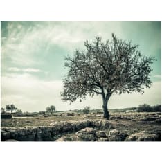 Artgeist tree - vintage fototapetti