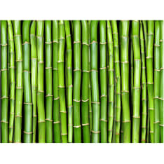Artgeist Bambu seinään fototapetti