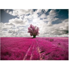 Artgeist Magenta niitty fototapetti