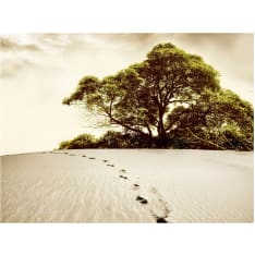 Artgeist Puu erämaassa fototapetti