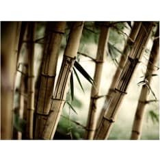 Artgeist Fog and bamboo forest fototapetti