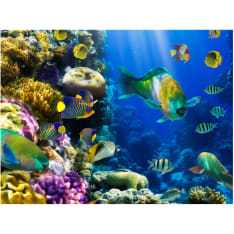 Artgeist Vedenalainen paratiisi fototapetti