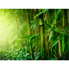 Artgeist jungle - bamboo fototapetti