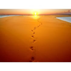 Artgeist Jalanjäljet ​​hiekkaan fototapetti