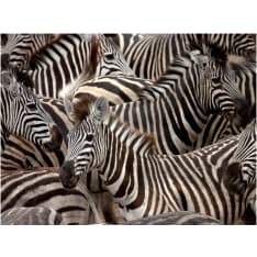 Artgeist Lauma seeproja fototapetti