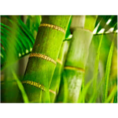 Artgeist bamboo - detail fototapetti