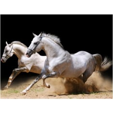 Artgeist Laukkaavan hevoset hiekalla fototapetti