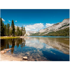 Artgeist Tenaya Lake - Yosemite National Park fototapetti