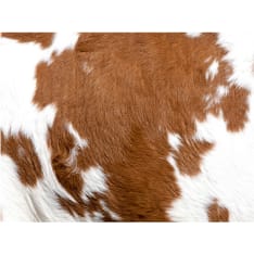 Wallpaper - Cowhide