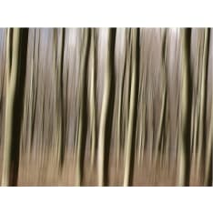 Artgeist Metsätalouden fototapetti