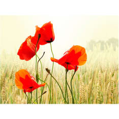 Artgeist Kauneus villi unikot fototapetti