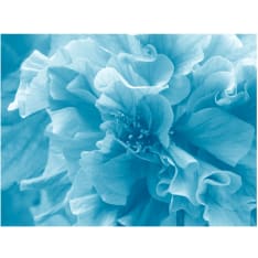 Artgeist Blue azalea fototapetti