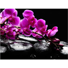 Artgeist Rentouttava hetki: orkidea kukka ja kivet fototapetti
