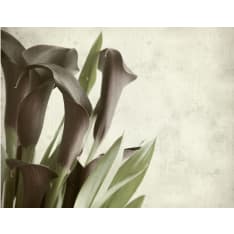 Artgeist Tumma lila Keltahuonevehkat - vanha paperi tausta fototapetti