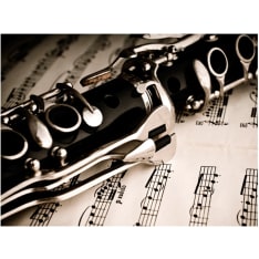 Artgeist Clarinet and music notes fototapetti