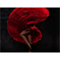 Artgeist Flamenco tanssija fototapetti