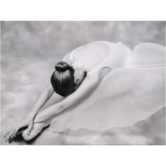 Artgeist photo: ballerina fototapetti