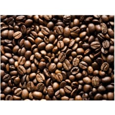 Artgeist Roasted coffee beans fototapetti