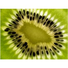 Artgeist fruits: kiwi fototapetti
