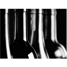 Artgeist Viinipullot fototapetti