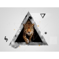 Artgeist Wild abstraktio fototapetti