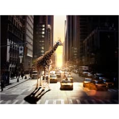 Artgeist Kirahvi suurkaupungissa fototapetti