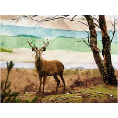 Artgeist Metsä Fugitive fototapetti