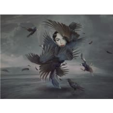 Artgeist Käsitelty höyhenet fototapetti