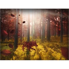 Artgeist Animismista fototapetti
