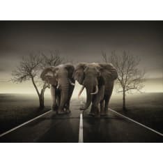 Artgeist Kaupunki norsuja fototapetti