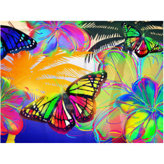 Artgeist Butterflies in the stomach fototapetti