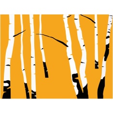 Artgeist Birches on the orange background fototapetti