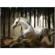 Artgeist Valkoinen Chase fototapetti