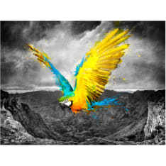 Artgeist Exotic parrot fototapetti