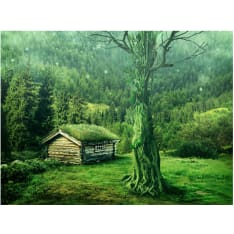 Artgeist Vihreä yksinäisyys fototapetti
