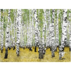 Artgeist Vuonna koivikko ... fototapetti