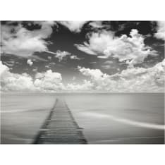 Artgeist Tie vapauteen fototapetti