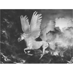 Artgeist Pegasus matkalla Mount Olympus fototapetti