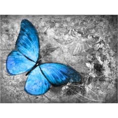 Artgeist Blue butterfly fototapetti