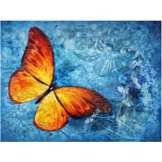 Artgeist Fiery butterfly fototapetti