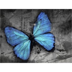 Artgeist Alated fototapetti