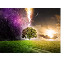 Artgeist Magic tree fototapetti