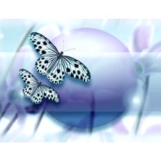 Artgeist Planet of butterflies fototapetti