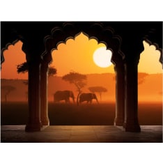Artgeist Hear Africa fototapetti