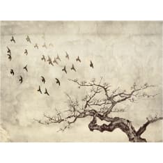 Artgeist Flock of birds fototapetti