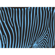 Artgeist Zebra pattern (turquoise) fototapetti