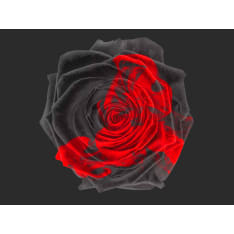 Artgeist Muutos fototapetti