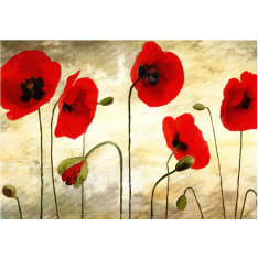 Artgeist Maalattu unikot fototapetti