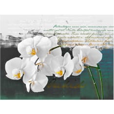 Artgeist Orchid - runoilijan inspiraatio fototapetti