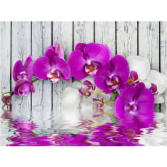 Artgeist Violet orchids with water reflexion fototapetti